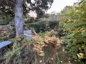 Photo 23- click for photo gallery